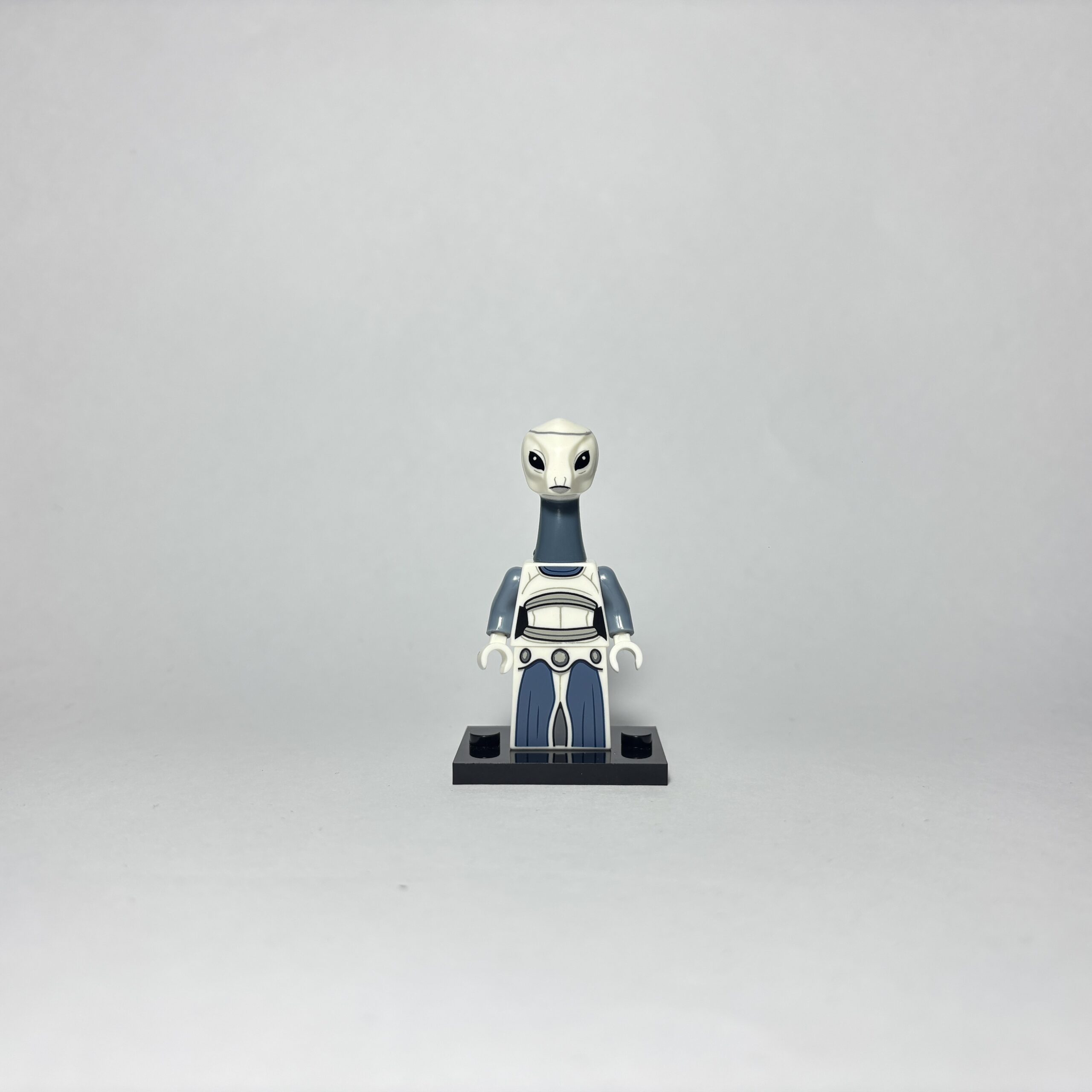 Kaminoana Taun We - Imagen 2